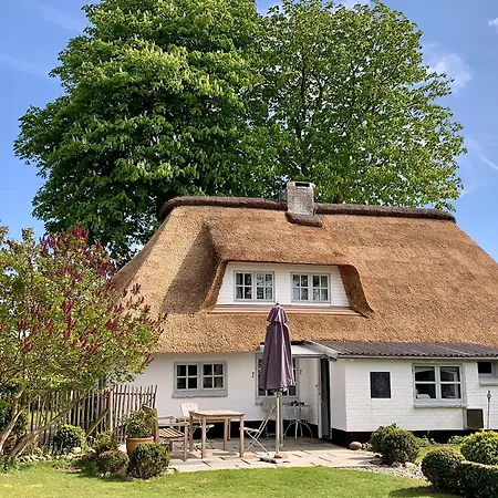 Holiday home Tade Bo